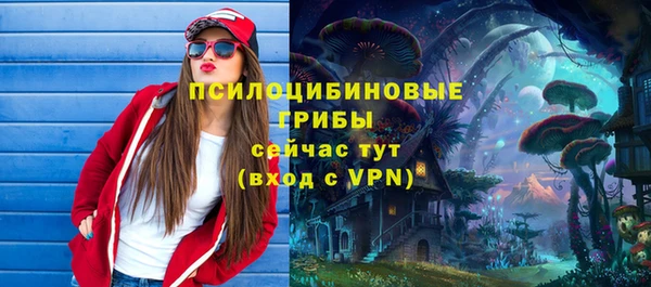 тгк Белокуриха