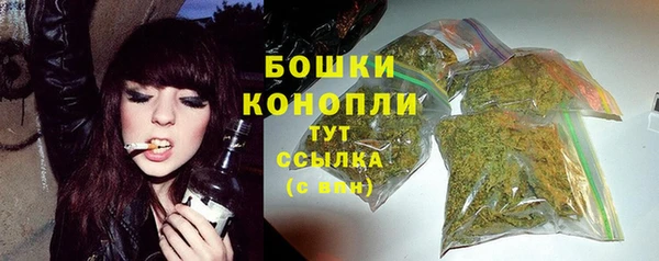 трава Беломорск